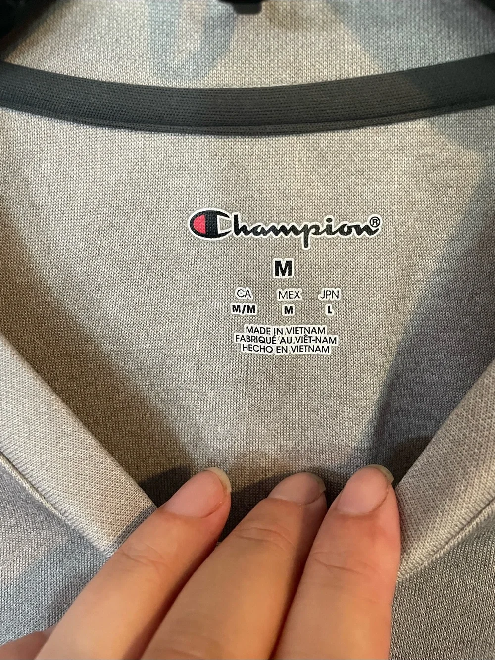 Champion Light Gray Men’s Crewneck Sweatshirt